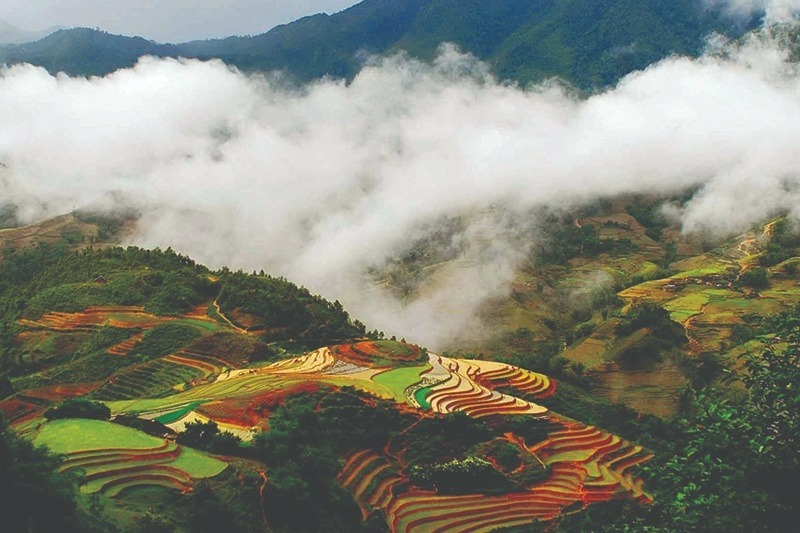 Thung lũng Mường Hoa - xứng danh là một trong các điểm du lịch Sapa nổi tiếng